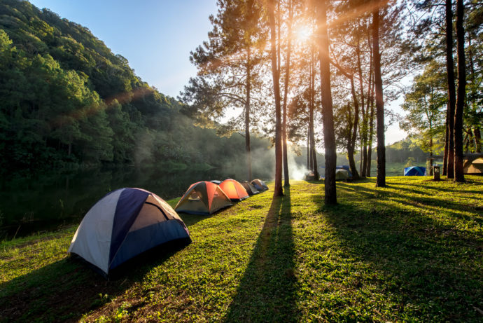 Bugs, Sun, and Water: What Campers Need to Know for Summer